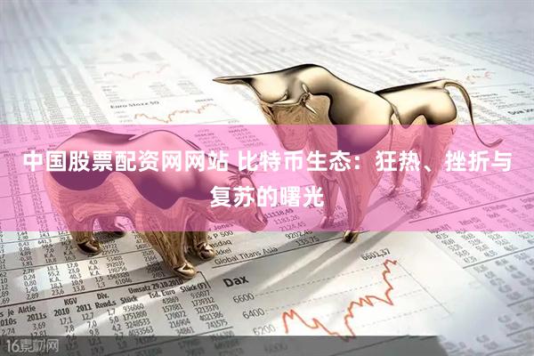 中国股票配资网网站 比特币生态：狂热、挫折与复苏的曙光