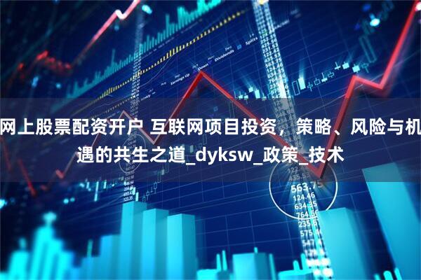 网上股票配资开户 互联网项目投资，策略、风险与机遇的共生之道_dyksw_政策_技术